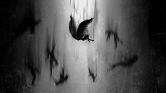 a black and white photo with birds flying in the air above it's head