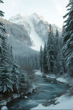 a river running through a snow covered forest next to tall pine trees on the side of a mountain