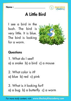 a little bird worksheet for kids