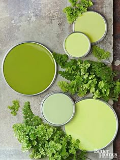 four paint cans with different shades of green on them and plants growing out of them