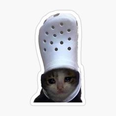 a cat wearing a white hat with holes on it's face and eyes sticker