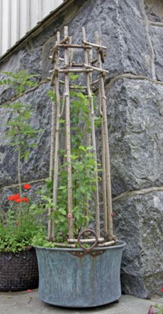 a potted plant in front of a stone wall with flowers and plants growing out of it