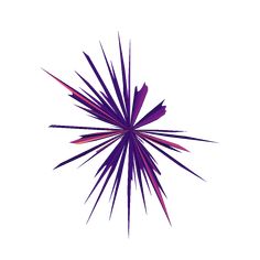 a purple starburst on a white background with no one in it's image