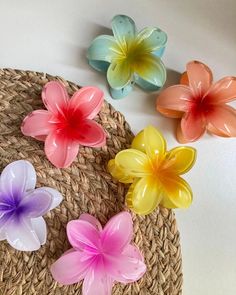 💐 Festival de flores 💐 4 flores grandes + 4 flores pequeñas a S/30 🔥 Solicita los modelos disponibles por mensaje, el stock es limitado 👀💗 #flowerclawclip #clawclip #ganchos #accessories #accesoriosdemoda #girls #aesthetic #fyp #moda Flores Aesthetic, Chinese Hair Accessories, Chinese Hair, Chinese Hairstyle, Flower Clip, Hair Accessories, Dogs, Flowers, Hair