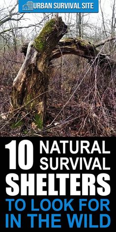 List Of Priorities, Wilderness Survival Shelter, Survival Skills Emergency Preparedness, Off Grid Survival, Bushcraft Shelter, Survival Skills Life Hacks, Survival Quotes, Survival Life Hacks, Survival Shelter