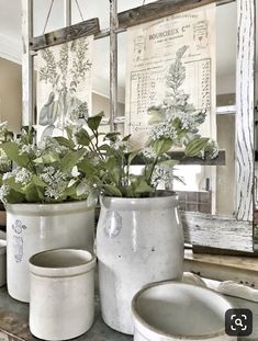 three white vases with plants in them sitting on a table next to a mirror