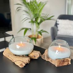 two glass candles sitting on top of a wooden table next to a potted plant