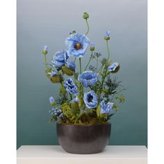 an arrangement of blue flowers in a pot