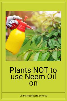 a hand holding a yellow and red bottle with the words plants not to use neon oil on