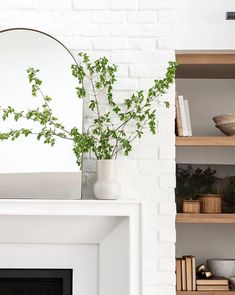 a white fireplace with books and plants on the shelves next to it in front of a mirror