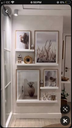 a white wall with pictures on it and some plants in vases next to each other