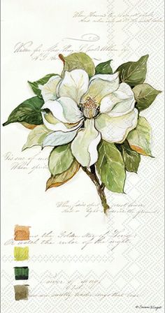 a white flower with green leaves on it and some other things in the background that are color swatches