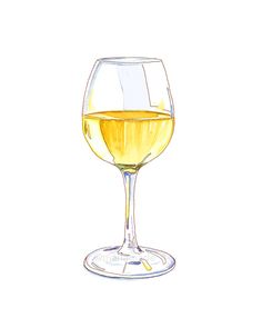 a drawing of a glass of white wine