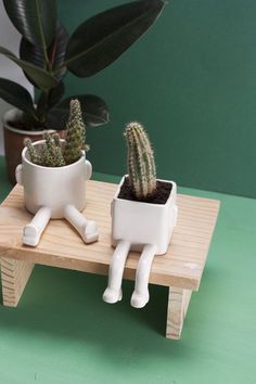 two small cactus plants sitting on top of a wooden table next to a potted plant