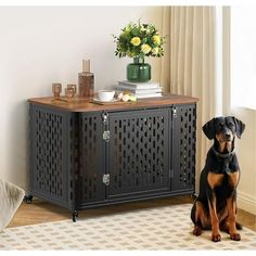 a dog sitting in front of a black cabinet