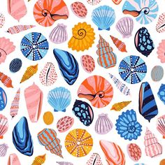 an image of colorful seashells and shells on a white background with blue, red, orange, and pink colors