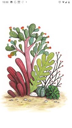 a drawing of some plants and rocks on the ground