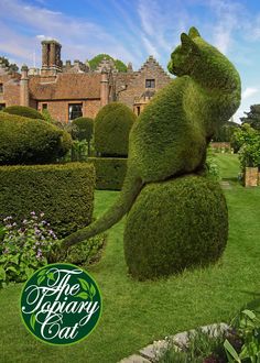 the topiary cat is made out of grass