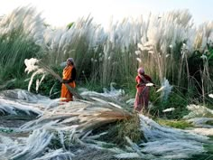 two women are standing in the tall grass