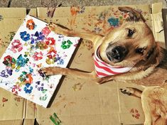 a dog is sitting on the ground with his paw in a box and painting it