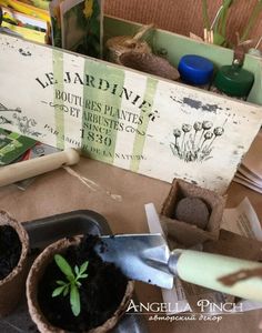 there is a small potted plant in the middle of two pots with gardening utensils next to it