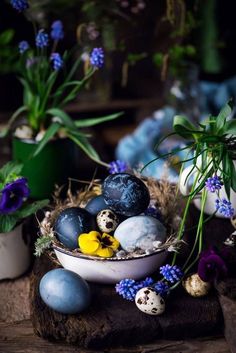 a bowl filled with blue and white eggs on top of a wooden table next to potted plants