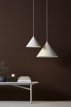 two lamps hanging over a table with books on it and a potted plant in the foreground