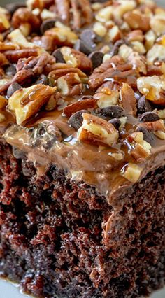 a close up of a piece of chocolate cake on a plate with pecans and nuts