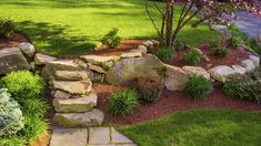 a stone wall in the middle of a garden