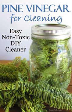 pine vinegar for cleaning easy non - tonic diy cleaner in a glass jar on a wooden table