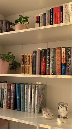 several books are lined up on the shelves next to a potted plant and candle