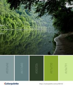 the color palette is green and blue