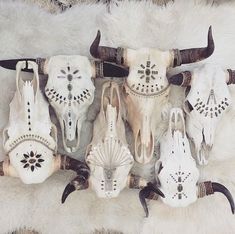 several cow skulls are arranged in rows on a white fur covered area with black horns