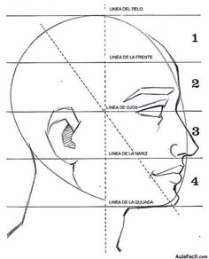 the face and neck area of an adult with different facial types, including one for each side