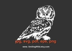 an owl sitting on top of a tree branch with the words jpg, svg, pott, eps, png