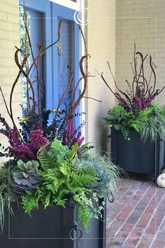 two black planters with purple flowers and greenery in them on a brick patio