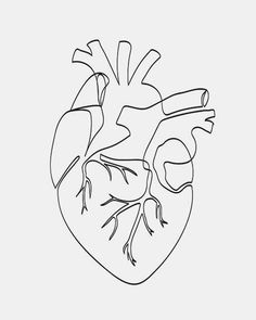 the human heart is shown in black and white