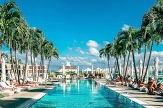 people lounging at the edge of a swimming pool surrounded by palm trees