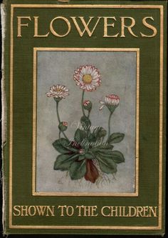 an old book with flowers drawn on it's cover and the title shown below