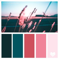 the color scheme is pink, blue and green