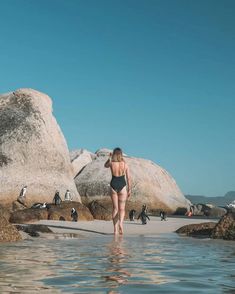 a woman in a bathing suit walking on the beach with penguins around her and one penguin is swimming