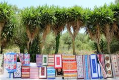 many different colored rugs are lined up in front of some palm trees and bushes