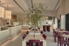 a restaurant with tables, chairs and plants in vases on the counter top area