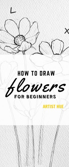 how to draw flowers for beginners with the title,'how to draw flowers for beginners '