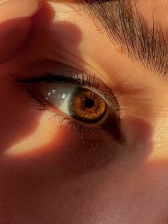 Brown Eyes Aesthetic Girl, Honey Brown Eyes Aesthetic, Eye Pictures Aesthetic, Light Brown Eyes Aesthetic, Dark Eyes Aesthetic, Brown Eyes In Sunlight, Dark Brown Eyes Aesthetic, Chestnut Brown Eyes