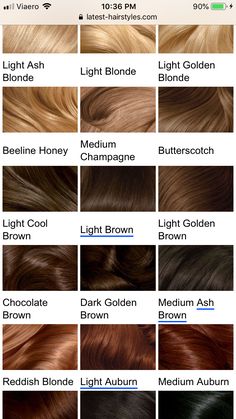 Brown Hair With Gold Undertones, Brown Hair Colors Chestnut, Chocolate Brown Hair Men, Chest Nut Brown Hair, Dark Bronze Hair, Light Brown With Red Undertones, Light Brown Hair Red Undertone, Chestnut Hair Color Dark, Cocoa Hair Colour