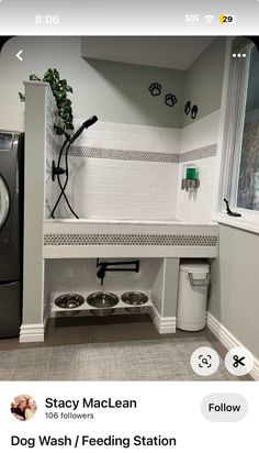 an image of a dog wash station on the appliance store's website