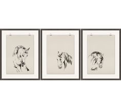 three black and white horses are hanging on the wall in front of two framed pictures