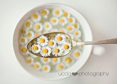 a spoon full of daisies with the words kyra's editt team on it