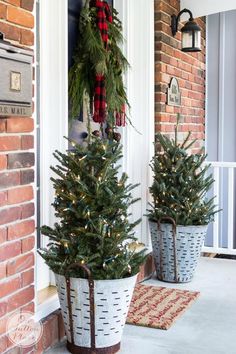 two potted christmas trees on the front porch